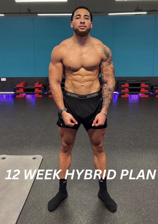 12 Week Hybrid Plan