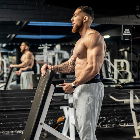 6 WEEK PPL WORKOUT PROGRAM